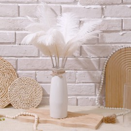 80 Pcs Ostrich Feathers Bulk for Vase Large Natural Ostrich Feathers 8-12inch with 80 Pcs Iron Wire and 1 Tape for Vase Flower Arrangement Wedding Party Centerpieces(White)