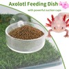 OOXYG Axolotl Hammock Ledge for Aquarium and Feeding Dish with