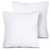 XhomeX 18"x18" Pillow Inserts (Set of 2) - Throw Pillow