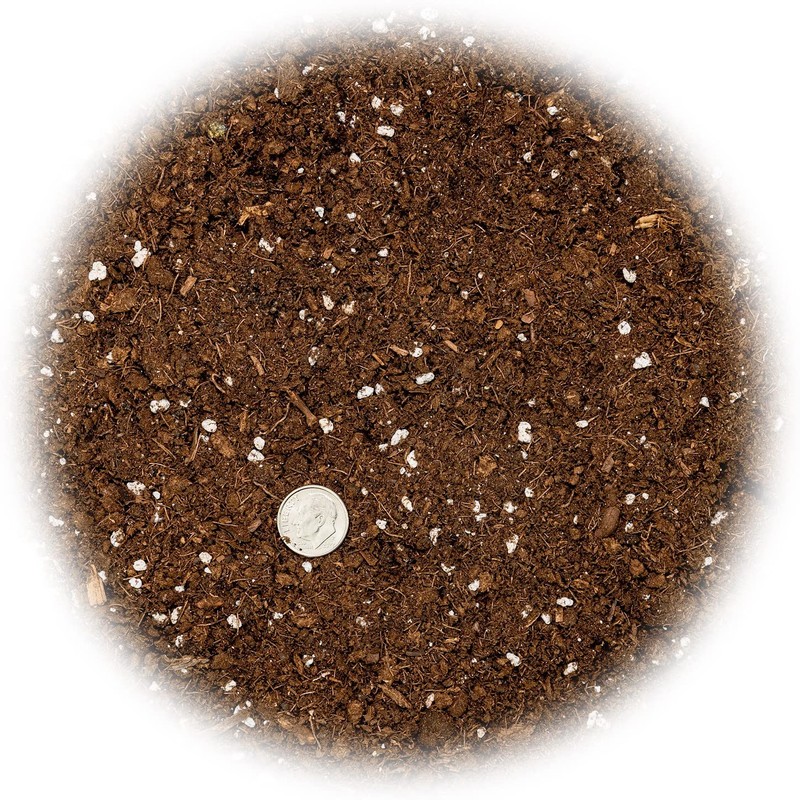 Gardenera's Expert Kumquat Soil Mix - 2 QT - Quick