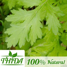 Mugwort Tea 15 Bags | Asian Herb Tea Mugwort Leaves Supply From Thailand