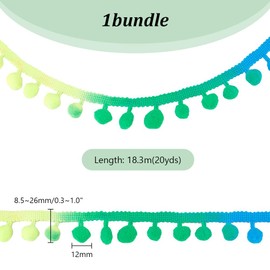 PH PandaHall - Cinta de flecos con pompones de 20 yardas, flecos de arco iris, poliéster, decoración para hogar, fiesta y manualidades