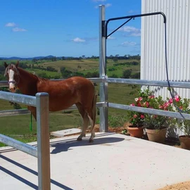 Swinging arm Horse Wash Attachment - Wall-mounted Spray Boom Preventing Tangling and Trampling While Washing Your Horse. Hose Not Included, Fits Standard Garden Hose