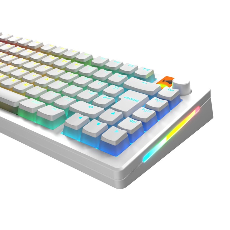 Glorious Gaming GPBT Aura RGB Keycaps: Pudding Style Keycaps, Double-Shot
