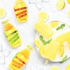 Wonder Lemon Organic Lemon Cold Pressed Juice, Variety Pack, 8.45oz,