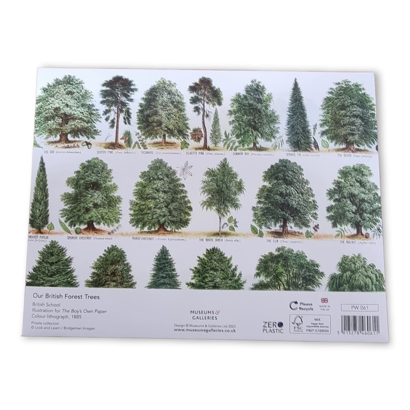 Museums & Galleries Writing Sets (Our British Forest Trees) PW061
