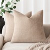 Foindtower Set of 2 Soft Textured Chenille Throw Decorative Pillow