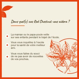 Bach Red Chestnut (Rote Kastanie) - 20 ml