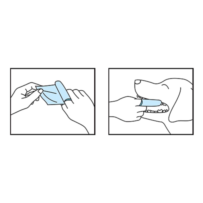 Taurus Plaque Tortol Plastic Care Sheet