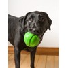 Hartz DuraPlay Bacon Scented Dog Toys