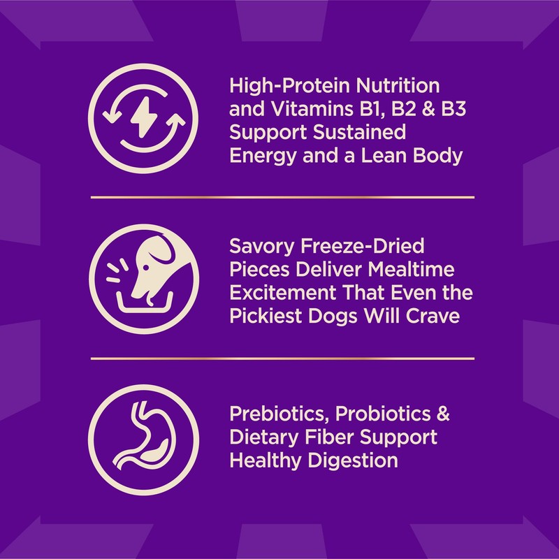 Wellness CORE+ Dry Dog Food with Freeze Dried Pieces, Wholesome