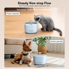Automatic Cat Feeder and Water Dispenser FW1, Wire or Battery