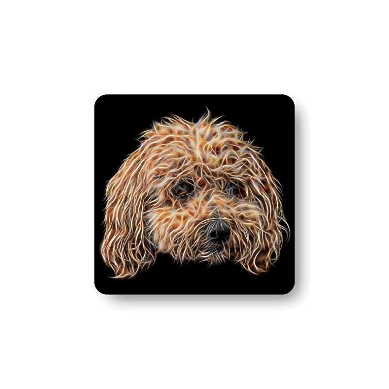 Fractal Artworks Poochon Coaster with Fractal Art Design #1-2