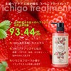Strawberry Shampoo Treatment, Pouch Set, Salon Quality, Amino Acids, Gentle