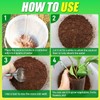 Anothera Anothera Coco Coir Brick for Plants- 12 Pack Premium