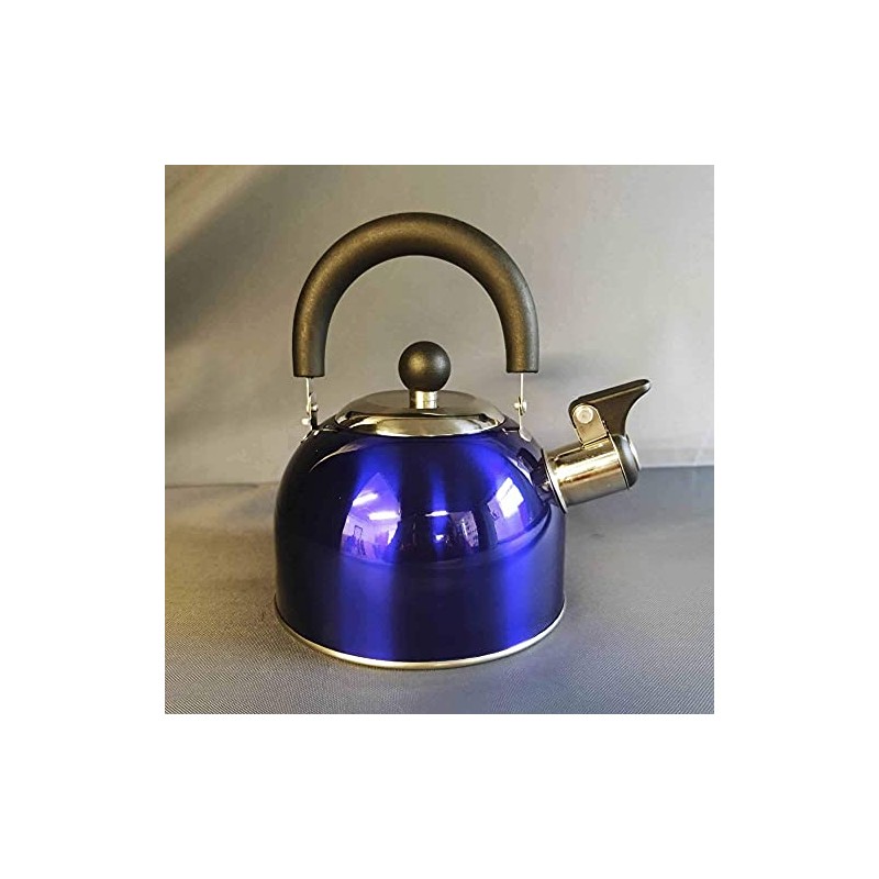 Blue 1.6 Litre Gas Hob Kettle with Folding Handle Caravan