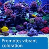 API MARINE CALCIUM Reef Aquarium Calcium Solution 16-Ounce Bottle
