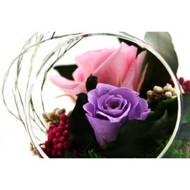 Rosen-Te-Amo |Infinity Blumen-Arrangement im hängenden Glas, handgefertigt, duftend, lila|Echte konservierte Rose Geburtstagsgeschenk für Frauen Mama Oma| Ewige Rosen zum Weihnachten, Valentinstag