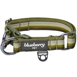 Blueberry Pet Multi-Colored Stripe Adjustable Dog Collar, Olive, X-Large, Neck 18"-26"