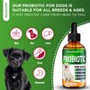 Probiotics for Dogs | Liquid Probiotics for Dogs | Prebiotic