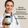 Diente De León, Jengibre, Té Verde 60 Cápsulas - Suplemento