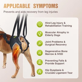 KISFLY Dog Lift Harness for Small Dogs, Adjustable Hind Leg Sling for Walking Support, Helps with Hip Dysplasia, Arthritis & Post-Surgery Recovery, Back Leg Support Harness, Size S