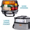 Lifewit Soft Cooler Bag 30-Can Lightweight Portable Cooler Tote Single