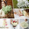 MERIXMAS Babys Breath Artificial Flowers, Real Touch Babys Breath Flowers