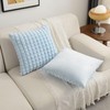 FUTEI Light Blue Decorative Throw Pillow Covers 18x18 Inch Set