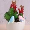 VORCOOL Bird Miniature Mini Figurine Set of 8 Birds Objects,