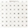 Bianco Dolomite Dotty 12.31 in. x 12.36 in. Polished Marble