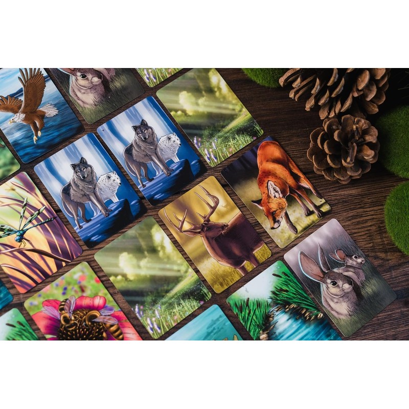 Ecosystem Forêt – Board Game – French Version