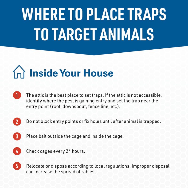 JT Eaton 465N/COV-FOR Wildlife Cage Trap with Cage Coat Cover