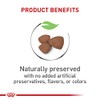 Royal Canin Croquetas de Cachorros, Mini Puppy, 1.13 kg, (El