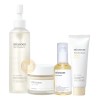 Mixsoon Kit Completo Bean Oil Essence Cream Sun Serum 4