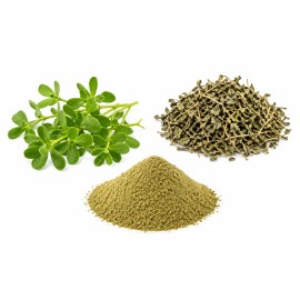 Brahmi Oil Infusion Grade Fine Powder Bacopa Monnieri Also Known As Waterhyssop for Scalp Hydration and Hair Regrowth