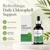 Liquid Chlorophyll Drops, Peppermint Flavor Chlorophyll Liquid Supplement with Chlorophyllin,