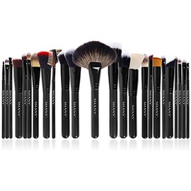 SHANY Pro Set de 24 brochas hechas a mano con cerdas naturales/sintéticas con un mango de madera, la pieza maestra