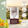 Lucens Umbria Color Kit 10.2 Toner Antigiallo Senza Ammoniaca Vegan