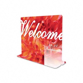 deflecto 5991890 Superior Image Premium Green Edge Sign Holder, Acrylic, 11 x 8 1/2 Insert, Clear