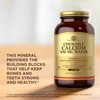 Solgar Chewable Calcium 500 mg - 120 Wafers - Promotes