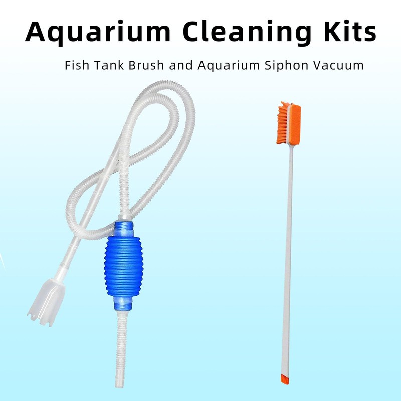 5 Gallon Glass Small Fish Tank, Betta Fish Tank Starter