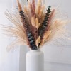 Dried Pampas Grass & Eucalyptus Decor, 100% Natural Bunny Tails