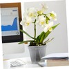 SUPVOX 10Pcs Root Control Flower Pots Transparent Plastic Nursery Planters