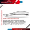 PRECISE CANADA: German Grade Stainless Steel EXTRACTING Forceps #150 Dental
