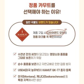 카무트 효소 복합 발효효소 골드 ( 3g x 30 포 ) Kamut Enzyme Complex Fermented Enzyme Gold (3g x 30 packets)