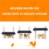 Pitalok Pitalok Brooder Heater for Chicks: Chick Brooder Heating Plate