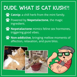 Cat Kush Organic Catnip, Safe Premium Blend Perfect for Cats, Instilled with Maximized Potency your Kitty is Sure to Go Crazy for (4 Cups)