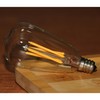 FANNIS 12 Pack ST38 Replacement LED Bulb, 4W Equals 40W,