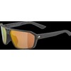 Alpina Swift Sunglasses, Matte Black/Gold, One Size